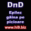 DnD_Epilez_gaina_pe_piciare