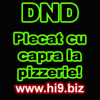 DND_plecat_cu_capra_la_pizzerie - Copy
