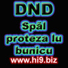 DND_spal_proteza_lu_bunicu