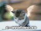 e-avatare_ro_2576 - Copy