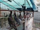 IMG-20170906-WA0052