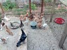 IMG-20170906-WA0074