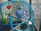DSC01160