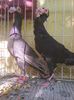 Photo0821