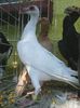 Photo0828