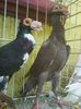 Photo0836