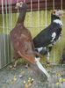 Photo0837