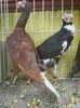 Photo0838