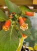 20170904_083258 (1)