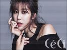 「 Day97 ♥ Hyosung 」