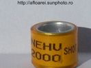 nehu 2000 shot
