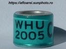 WHU 2005 C