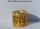 whu 2014