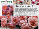 romantic antike