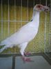 Photo0845