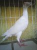 Photo0842