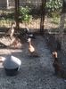 IMG-20170917-WA0033