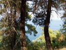Thassos
