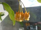 P1350030
