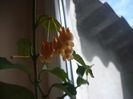 P1350034
