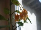 P1350035