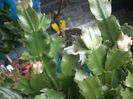 WIN_20170924_162404