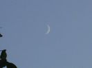 Luna Noua in Scorpion