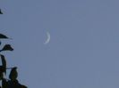 Luna Noua in Scorpion