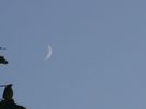 Luna Noua in Scorpion