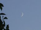 Luna Noua in Scorpion