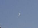 Luna Noua in Scorpion