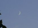 Luna Noua in Scorpion