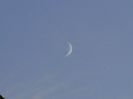 Luna Noua in Scorpion