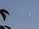 Luna Noua in Scorpion