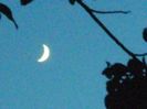 Luna Noua in Scorpion