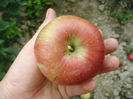 Măr B 2