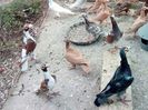 IMG-20170925-WA0014