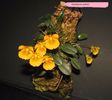 dendrobium jenkinsii floare