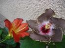 P1350101