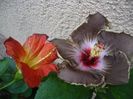 P1350102