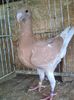 Photo0031