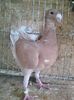 Photo0045
