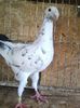 Photo0024