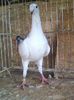 Photo00541