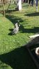 20170930_134044(0)