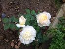 2 oct Gruss an Aachen