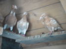 SAM_0646