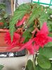 thumbnail (5)