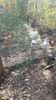 20171014_140219(0)