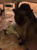 IMG-20170914-WA0000